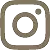instagram-icon